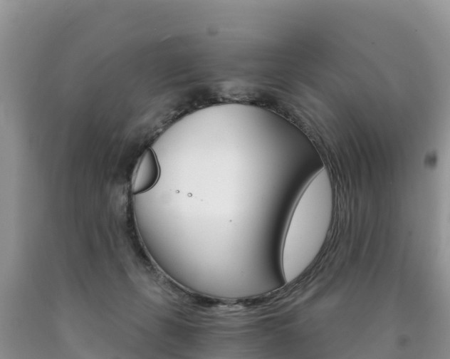 X0000090720271200707201020