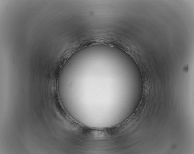X0000090720272200707201020