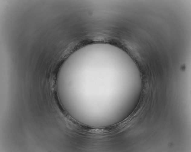 X0000090720273200707201020