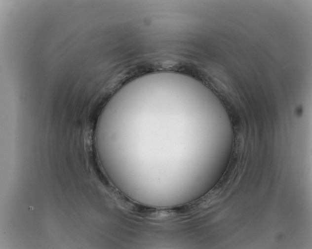 X0000090720274200707201020