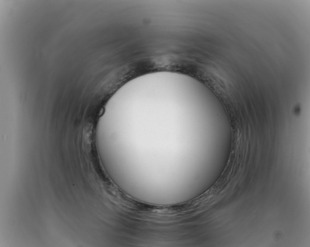 X0000090720275200707201020
