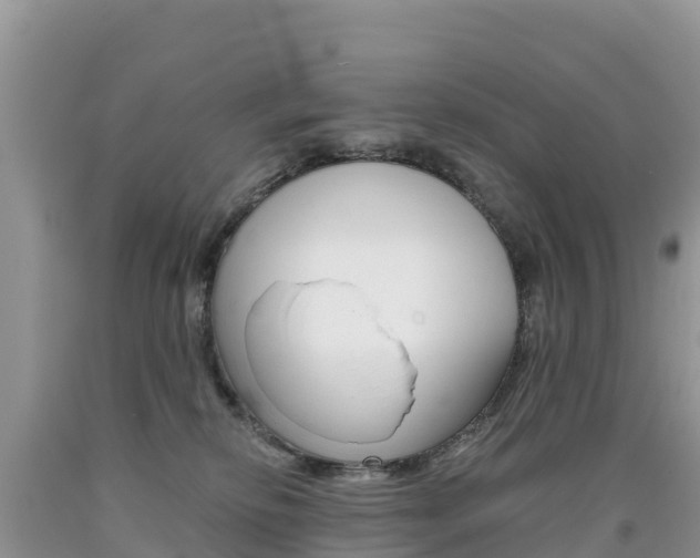 X0000090720278200707201020