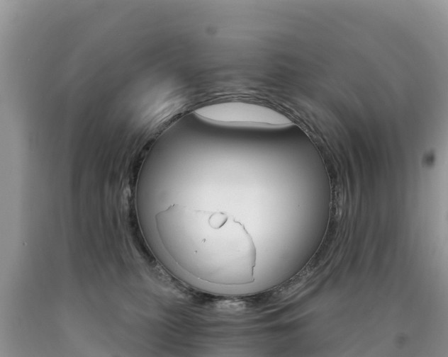 X0000090720279200707201020