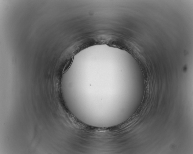 X0000090720283200707201020