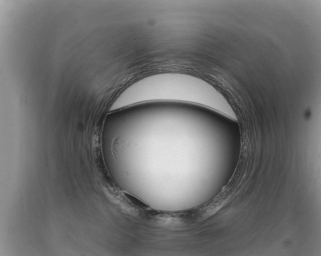 X0000090720284200707201020