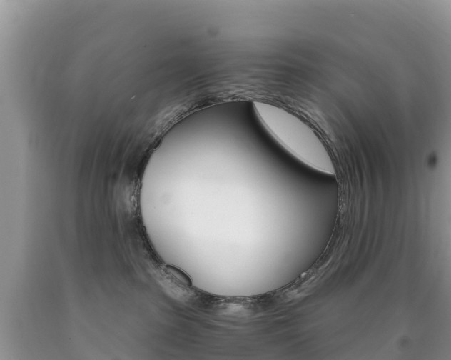 X0000090720285200707201020