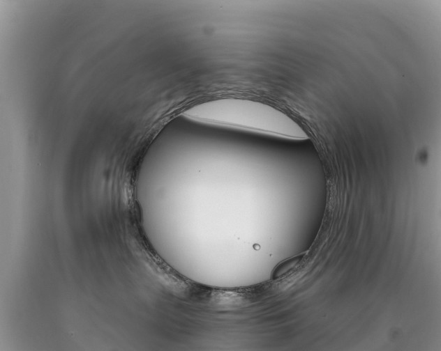 X0000090720287200707201020