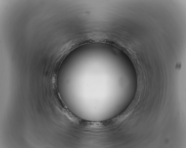 X0000090720288200707201020