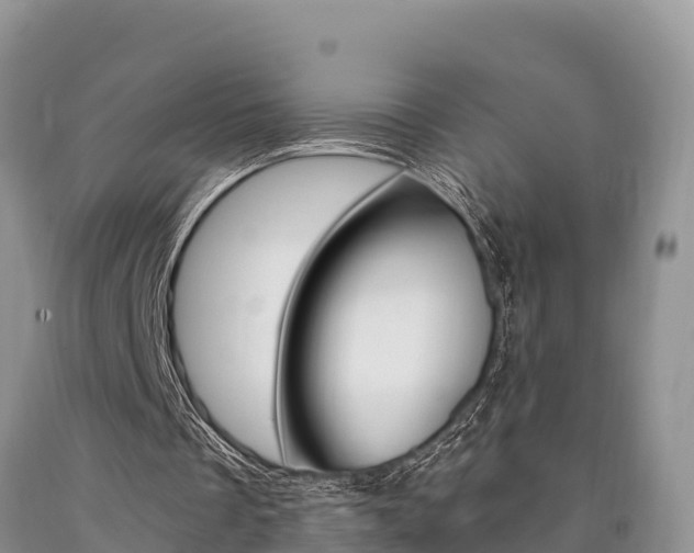 X0000090720289200707201020
