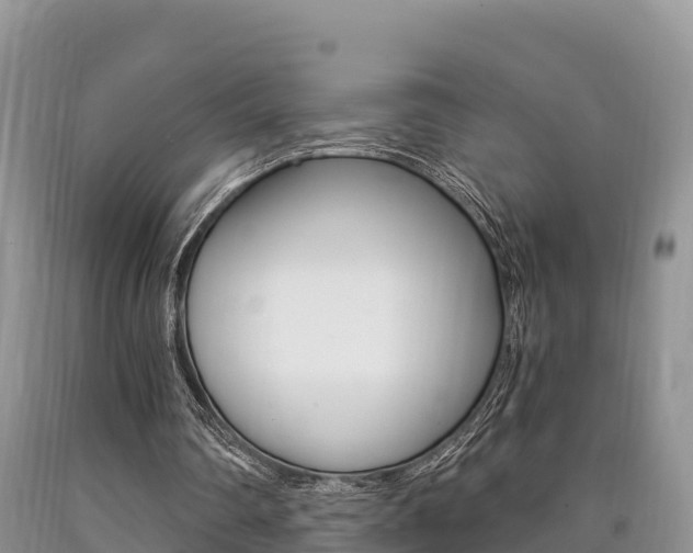 X0000090720290200707201020