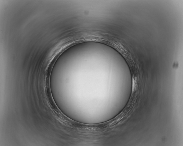 X0000090720291200707201020