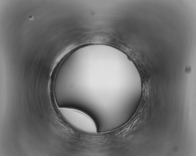 X0000090720292200707201020