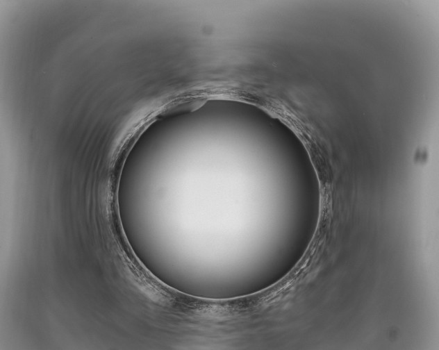 X0000090720293200707201020