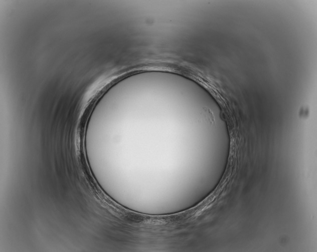 X0000090720294200707201020