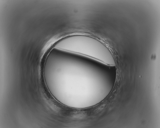 X0000090720296200707201019