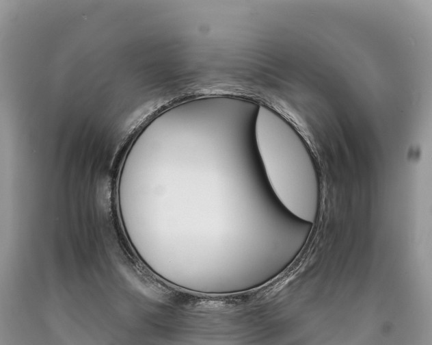 X0000090720298200707201019