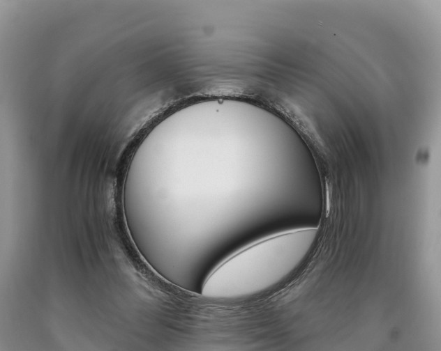 X0000090720300200707201019