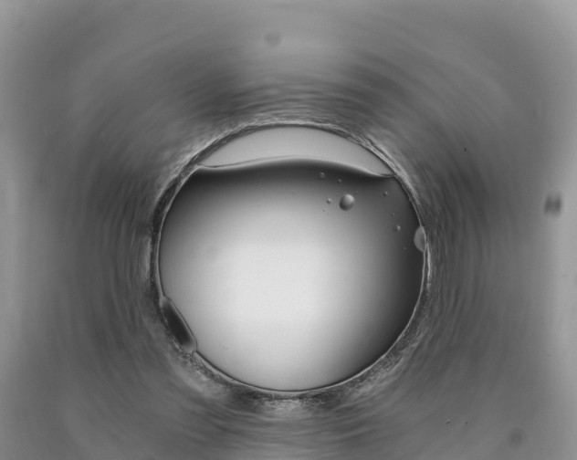 X0000090720301200707201019