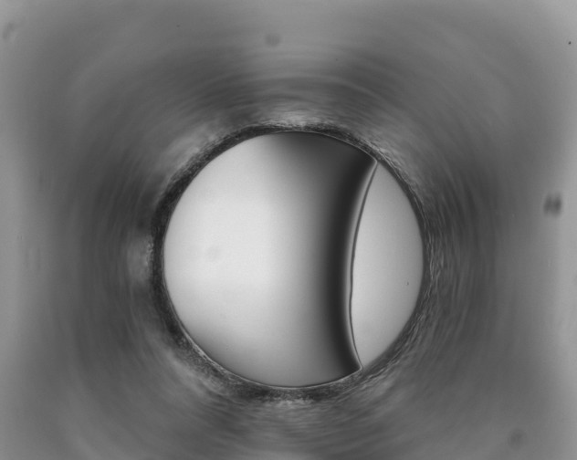 X0000090720304200707201019