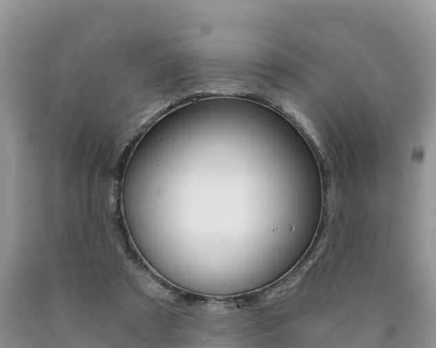 X0000090720305200707201019