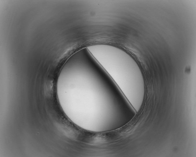 X0000090720308200707201019