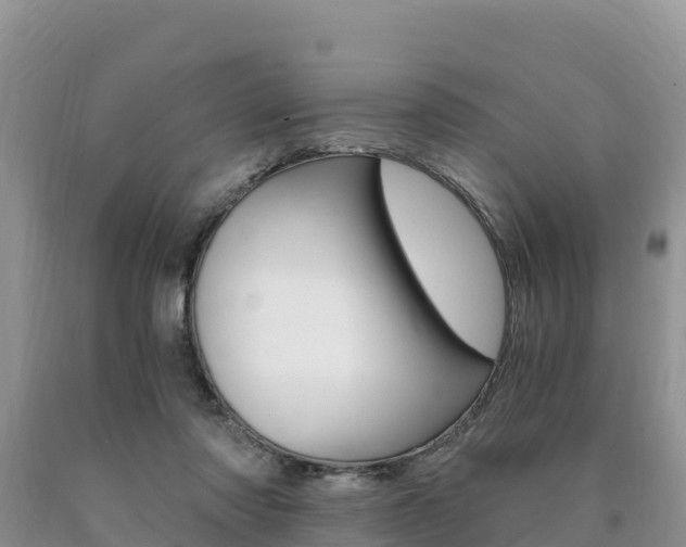 X0000090720310200707201019