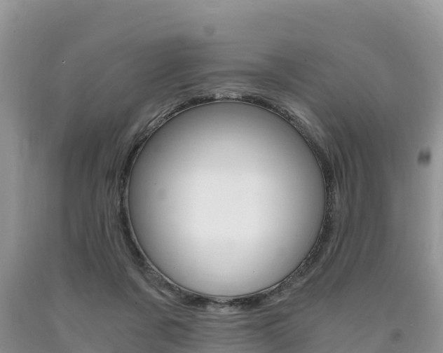 X0000090720311200707201019