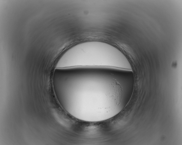 X0000090720312200707201019