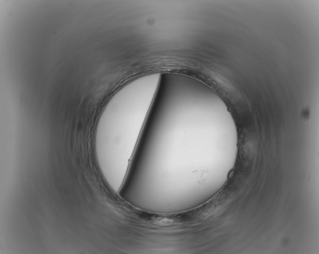 X0000090720315200707201019