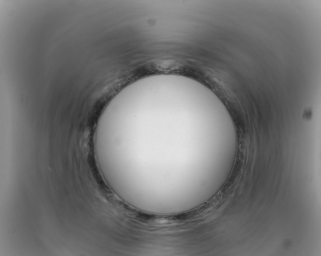 X0000090720319200707201019