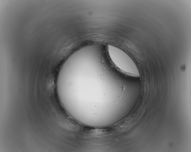 X0000090720320200707201019