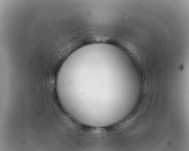 X0000090720321200707201019