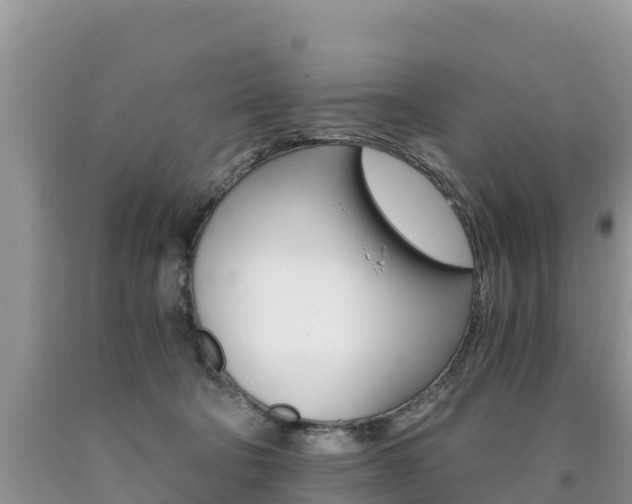 X0000090720322200707201019