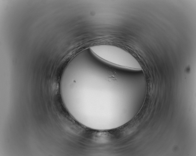 X0000090720324200707201019