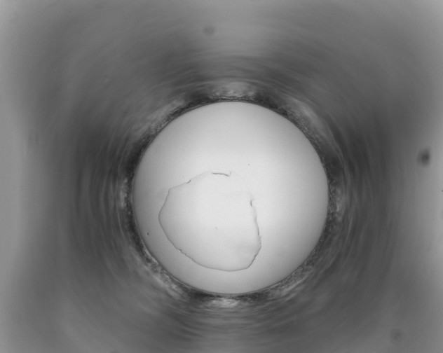 X0000090720326200707201019