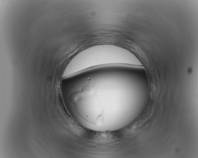 X0000090720329200707201019