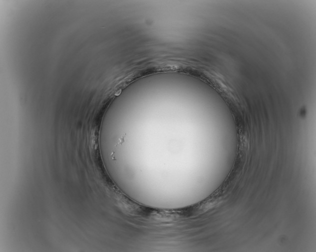 X0000090720331200707201019