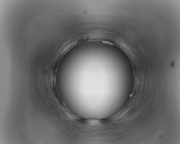 X0000090720333200707201019