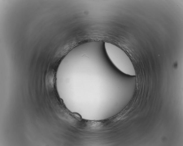 X0000090720334200707201019