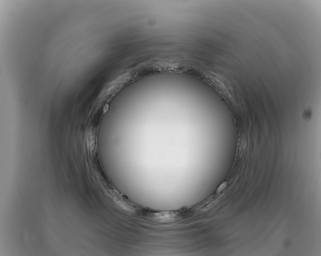 X0000090720335200707201019