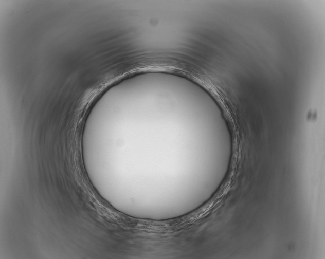 X0000090720337200707201018
