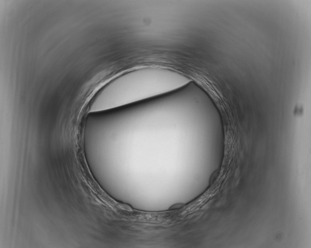 X0000090720338200707201018