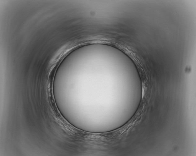 X0000090720339200707201018