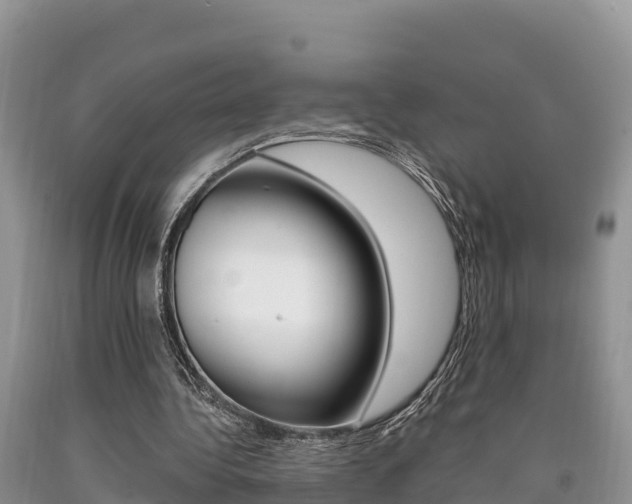 X0000090720340200707201018