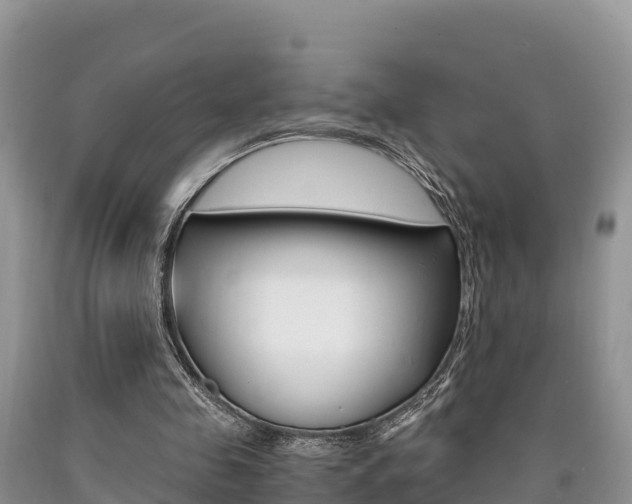 X0000090720341200707201018