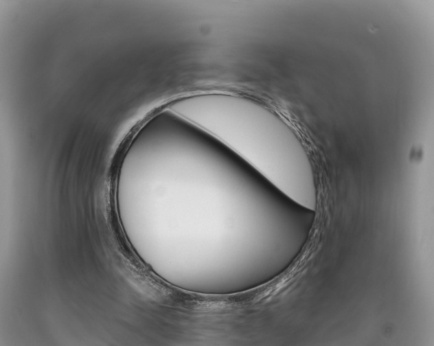 X0000090720342200707201018
