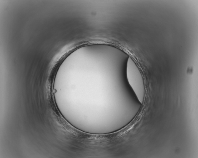 X0000090720343200707201018