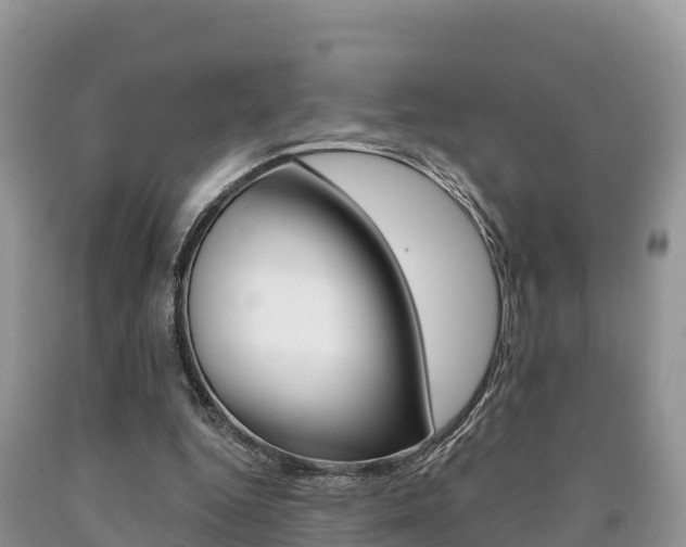 X0000090720344200707201018