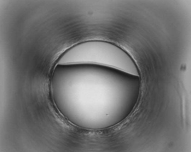 X0000090720345200707201018