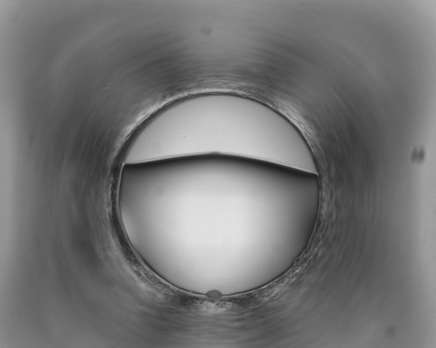 X0000090720346200707201018